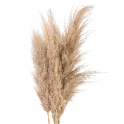 Fluffy butter pampas grass plume adds chic style to any floral display