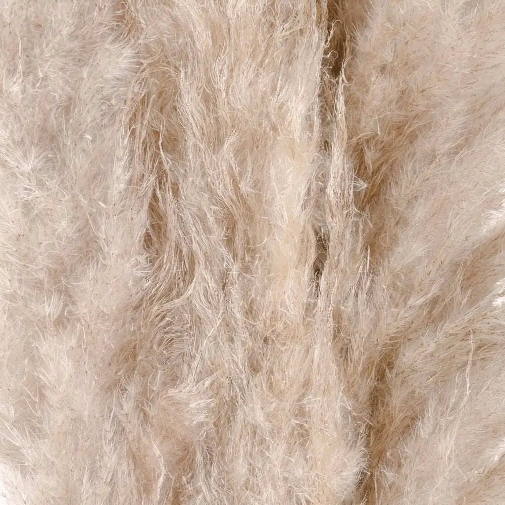 Fluffy cream pampas grass with soft, wispy texture for stylish floral arrangements