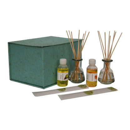 Eco-Friendly Reed Diffuser Set with Apple Cinnamon Aroma and glass bottles and reed sticks